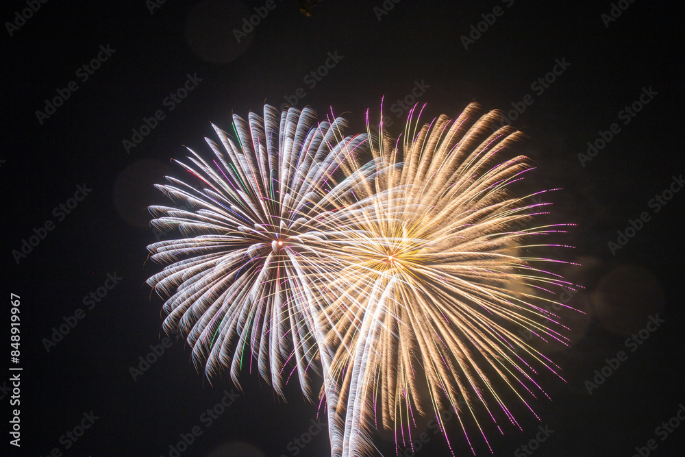 有名花火師による芸術花火 有名花火師による芸術花火
