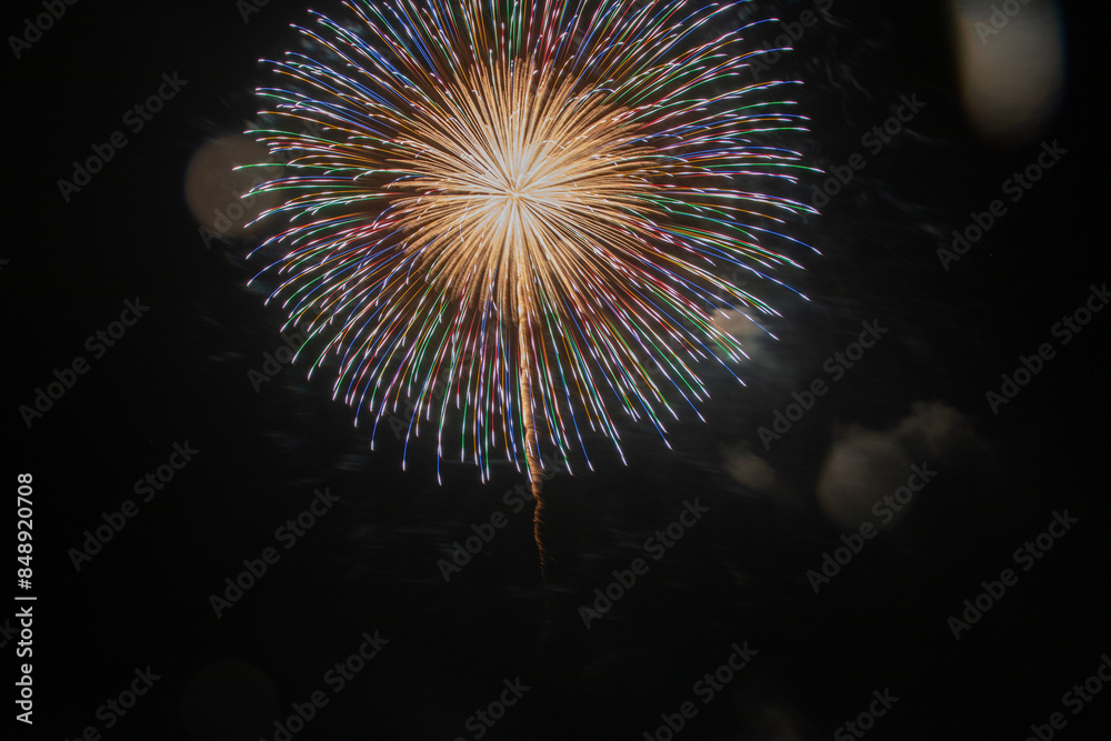 有名花火師による芸術花火