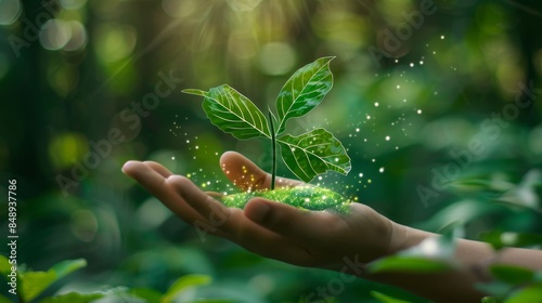 Hand Interacting with Raindrops, Perfect for Environmental Blogs and Campaigns, Showcasing Connection with Nature, Water Conservation, Hand in Rain