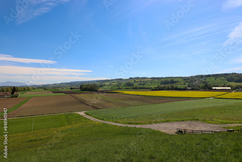 agriculture fields in switzerland photo