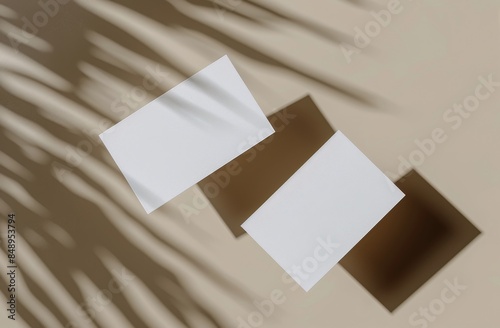 Two Blank White Business Cards on a Beige Surface With Leaf Shadows