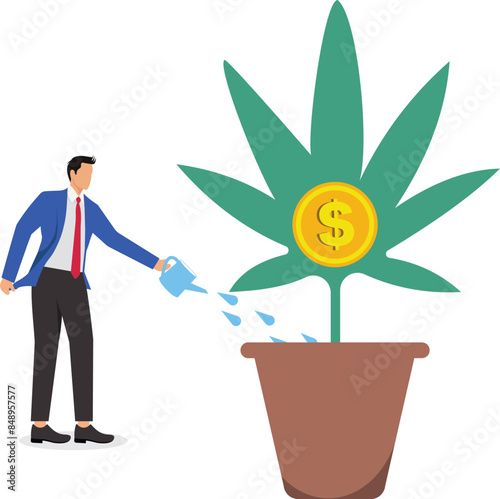 Cannabis business, ganja, marijuanas for medical and therapy to make money, legal CBD medicine, alternative cannabis oil concept, businessman watering cannabis plant with dollar money earning