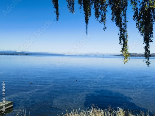 lake and trees