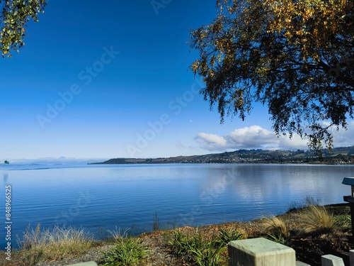 lake and trees