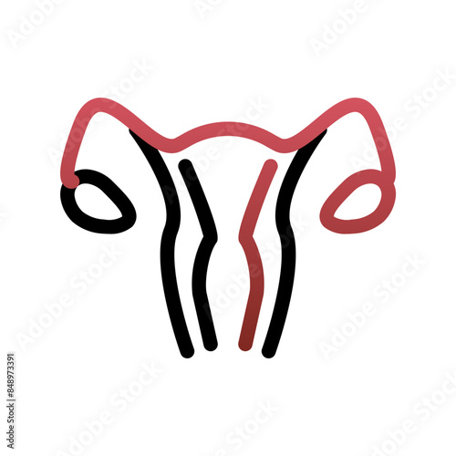Womb