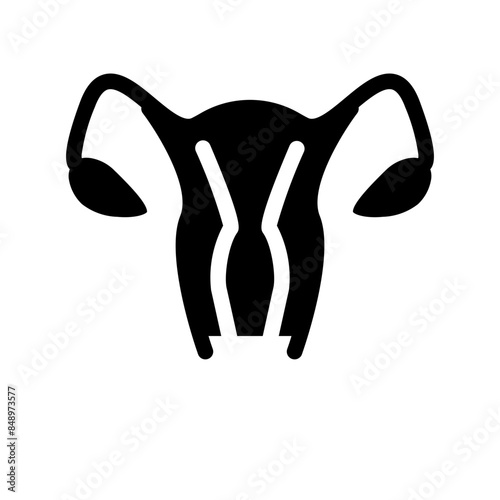 Womb