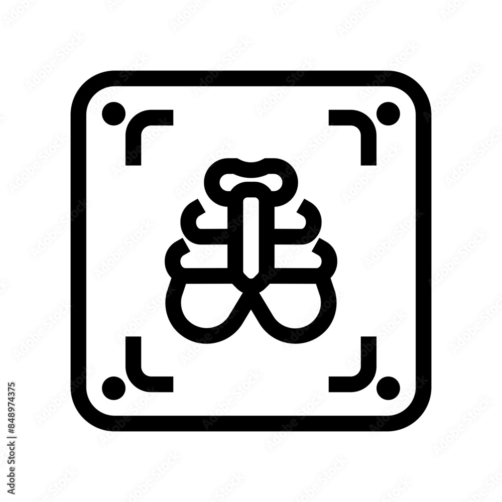 X-Ray icon