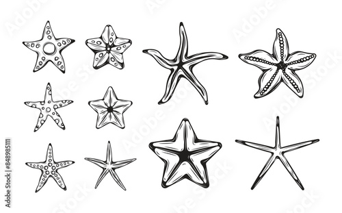 Starfish Hand Drawn Set 