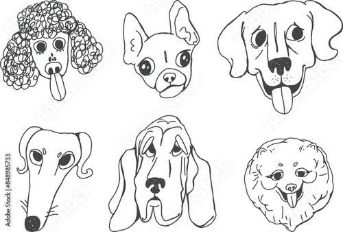 Doodle dog breeds faces outline drawing