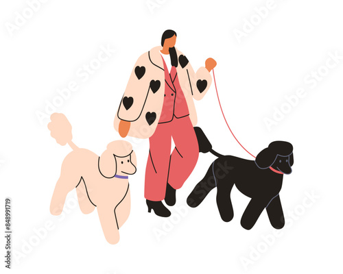 Woman walking dogs. Female per owner holding leash, leading two cute puppies, Poodle breed. Fashion modern lady going with companion doggies. Flat vector illustration isolated on white background