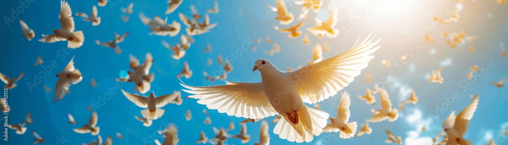 Fototapeta premium Beautiful white doves flying in sunlight, symbolizing peace and freedom.