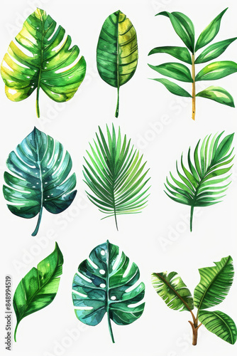 Vibrant watercolor tropical leaves set for greeting cards and wedding invitations. Clip art mock-ups included.