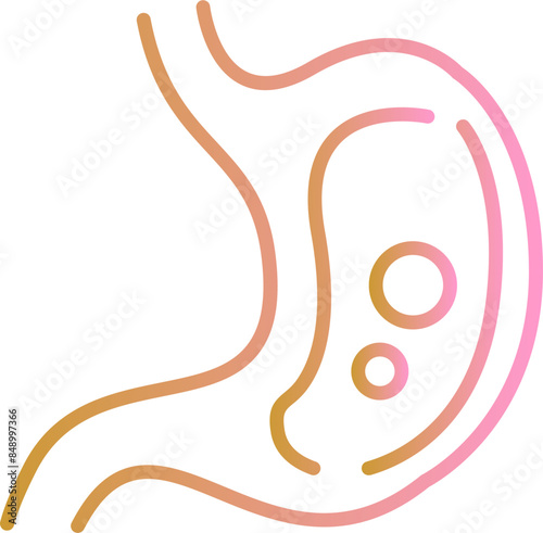 Stomach Vector Icon