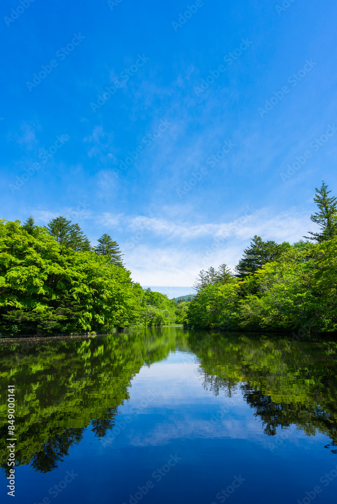【縦写真】軽井沢の雲場池 【縦写真】軽井沢の雲場池