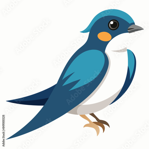 blue bird vector illustration
