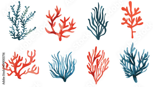 Set of coral images drawn in watercolor on a white background.Sea vector illustration