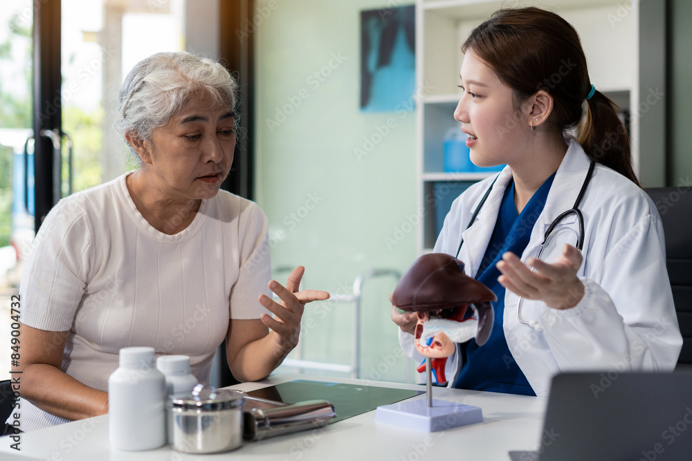 doctor shows a model of how the liver system works, doctors explaining symptoms and treatment to patients. doctor shows a model of how the liver system works, doctors explaining symptoms and treatment to patients.