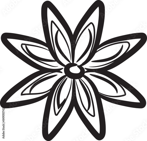 Illustration of hand-drawn Star anise icon, spice vector
