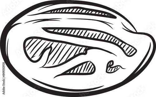 Illustration of hand-drawn nutmeg icon, spice vector