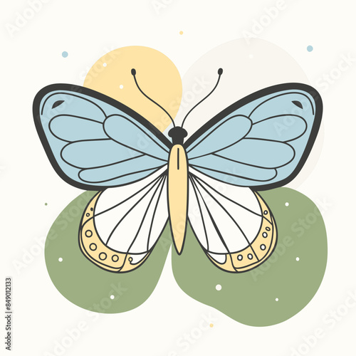 butterfly vector illustration 