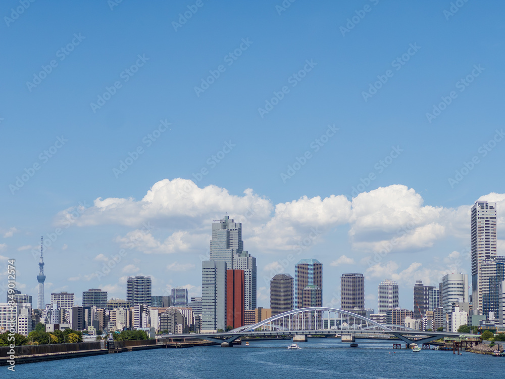Fototapeta premium 東京の都市風景