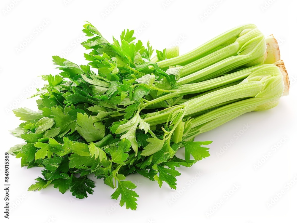 Fresh green celery stalks with leaves isolated on a white background. Fresh green celery stalks with leaves isolated on a white background.