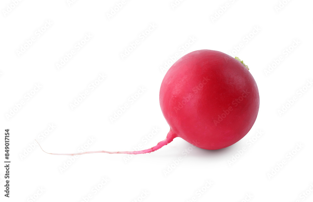 One fresh ripe radish isolated on white One fresh ripe radish isolated on white
