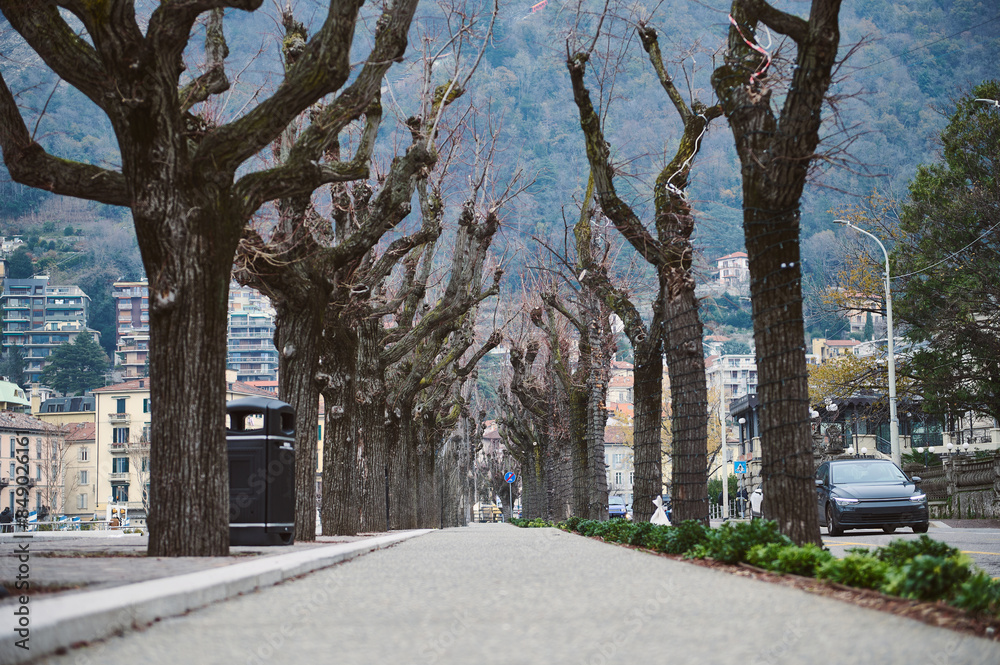Scenic urban road with bare winter trees and mountain backdrop Scenic urban road with bare winter trees and mountain backdrop