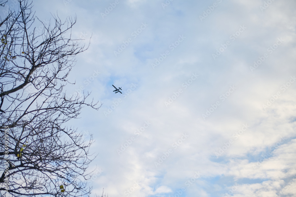 Airplane flying in the clear blue sky above barren winter tree branches Airplane flying in the clear blue sky above barren winter tree branches
