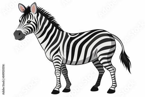 Zebra Vector with White Background,zebra, animal, isolated, mammal, white, black, horse, safari, striped, zoo, wildlife, wild, vector, 