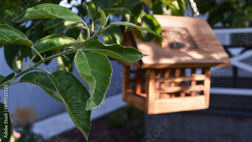 A wooden bird feeder hangs on an apple tree. A brown wooden bird feeder hangs on a green tree