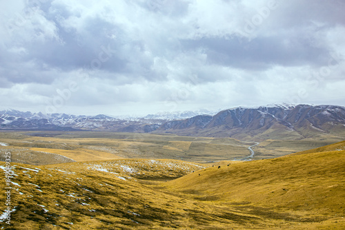 Gannan Tibetan Autonomous Prefecture, Gansu Province - grassland under the snow-capped mountains photo