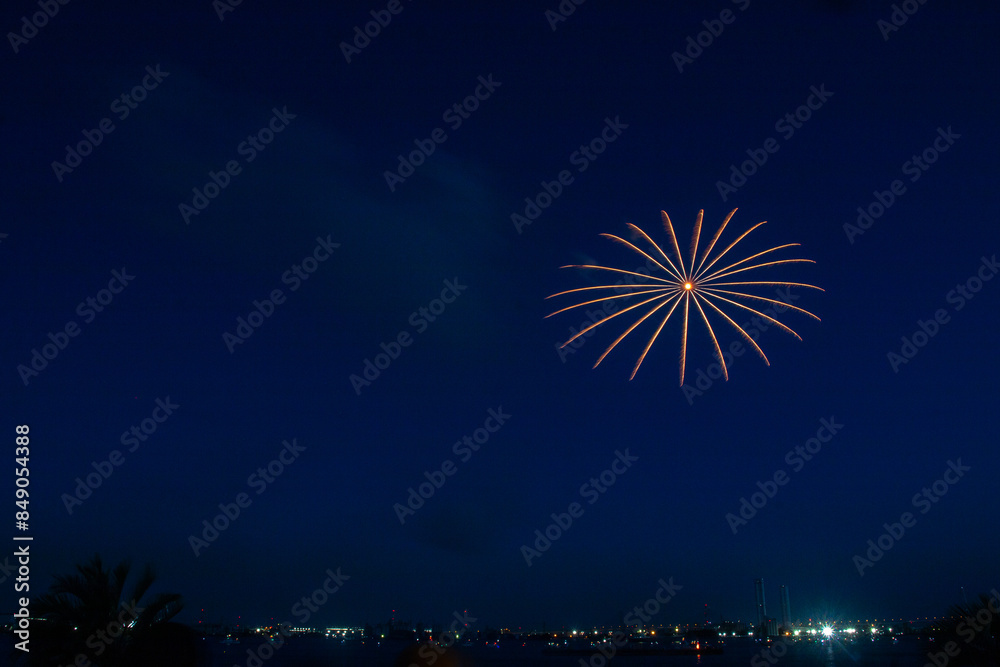 日本の夏の花火
