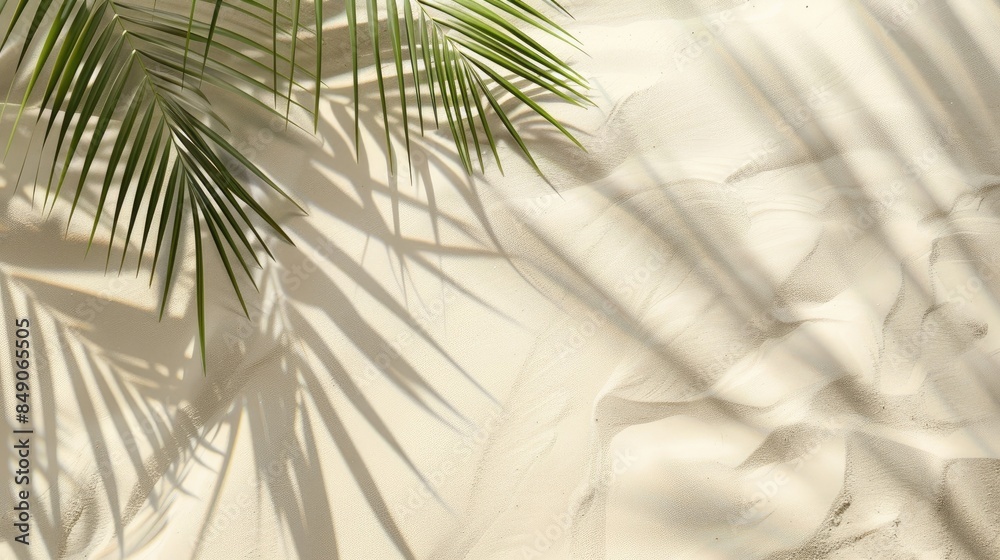 Obraz premium Beach sand background with palm tree shadow for text placement