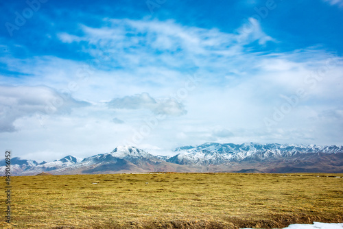 Ganjia Secret Realm, Gannan Tibetan Autonomous Prefecture, Gansu Province - grassland under the snow-capped mountains photo