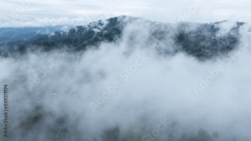 landscape of mountains and pine forest in thick summer fog in the area of ​​Lake Teletskoye in Altai