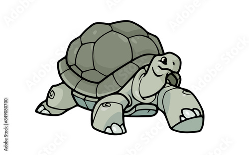 Adult Tortoise Animal RG