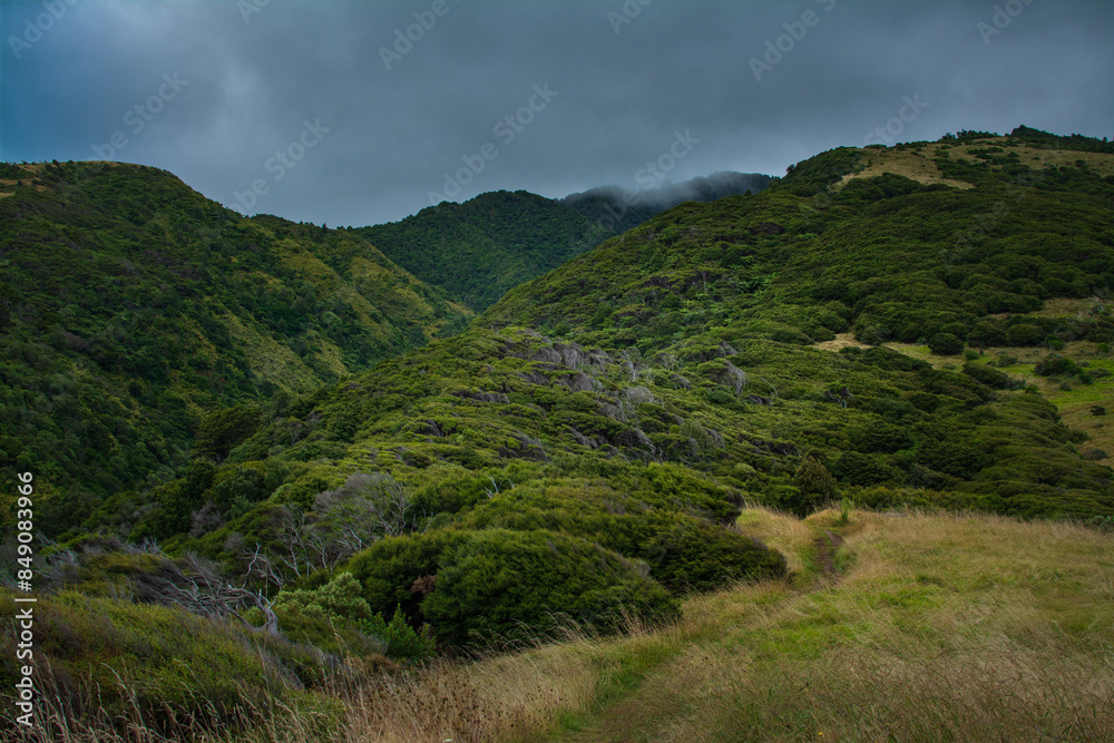 Naklejka premium Breathtaking view over Te Toto Gorge Lookout and Mt Kariori on an overcast summer day. High vantage point. Raglan Waikato