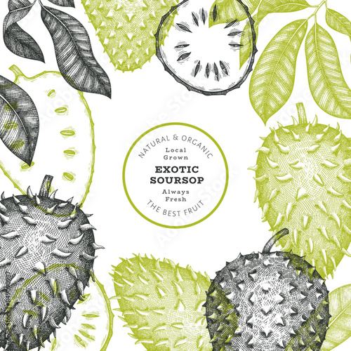 Hand drawn sketch style soursop fruit banner. Organic fresh fruit vector illustration. Retro guanabana design template