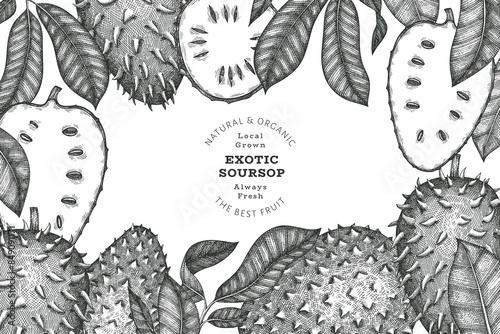 Hand drawn sketch style soursop fruit banner. Organic fresh fruit vector illustration. Retro guanabana design template