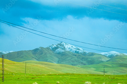 Gannan Tibetan Autonomous Prefecture, Gansu Province - grassland and sheep on the plateau photo