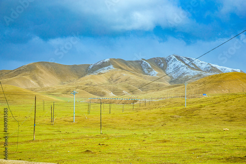 Gannan Tibetan Autonomous Prefecture, Gansu Province - grassland and sheep on the plateau photo