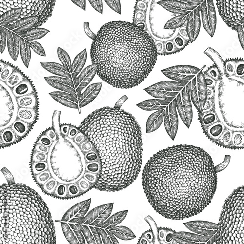 Hand drawn sketch style jackfruit seamless pattern. Organic fresh fruit vector illustration. Retro breadfruit background