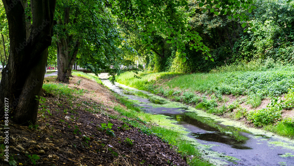 Naklejka premium kleiner Bach umgeben von Bäumen in einem Stendaler Park während des Sommers