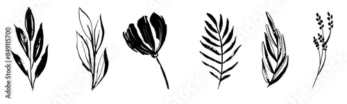 Set of retro branches and leaves. Silhouettes of hand drawn artistic field herbs in black ink. Vintage botanical florals.