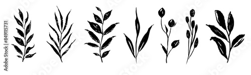 Set of retro branches and leaves. Silhouettes of hand drawn artistic field herbs in black ink. Vintage botanical florals.