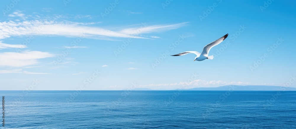 Seagull flying in the sky over sea. Creative banner. Copyspace image Seagull flying in the sky over sea. Creative banner. Copyspace image
