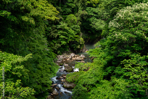 秋田県 奈曽の白滝