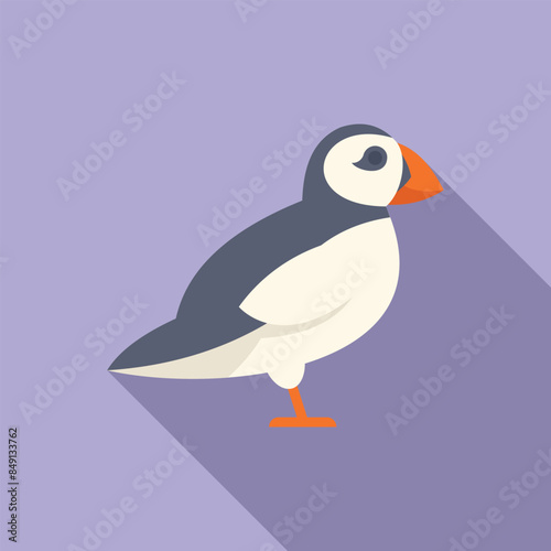 Atlantic puffin bird standing with big beak icon