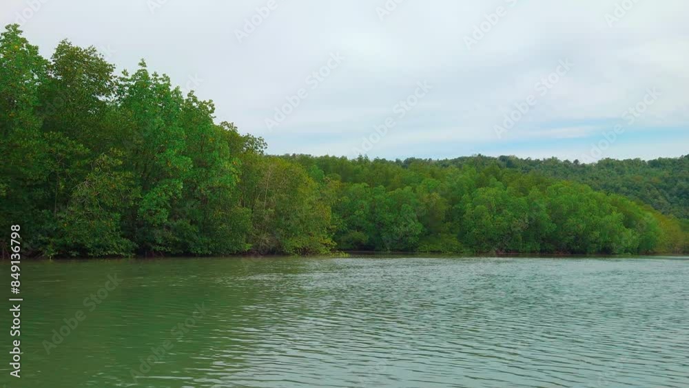 Float down river of mangrove forest. Emerald green water. Way to sea. Wild nature of Asia 4K. Summer adventure in Krabi, Thailand. Bright green trees ecosystem. Tropical habitat. Scientific expedition Float down river of mangrove forest. Emerald green water. Way to sea. Wild nature of Asia 4K. Summer adventure in Krabi, Thailand. Bright green trees ecosystem. Tropical habitat. Scientific expedition